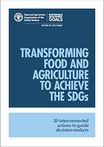 Transforming food and agriculture to achieve the SDGs
